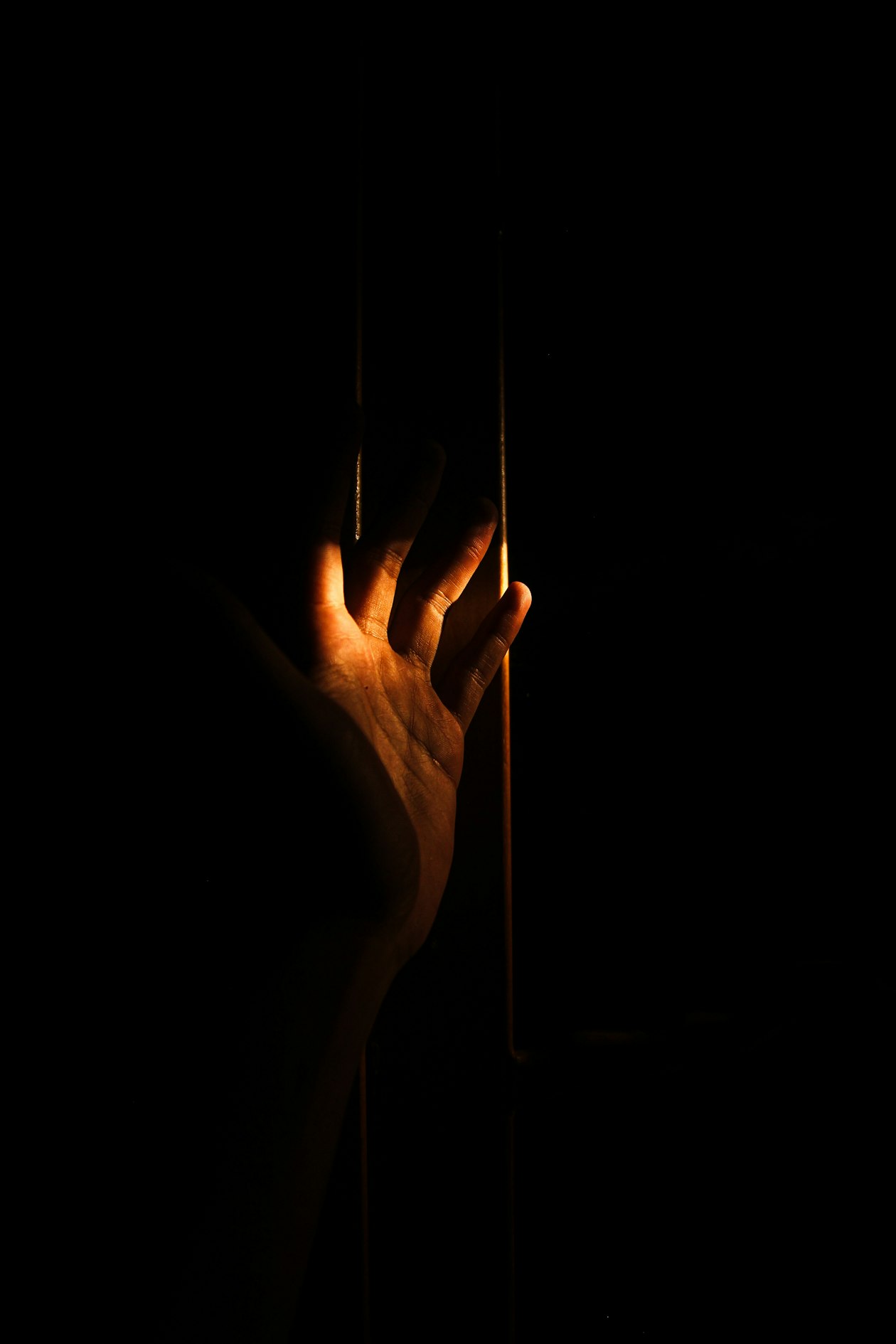 Are You Ready… or Are You Reaching for Psilocybin?