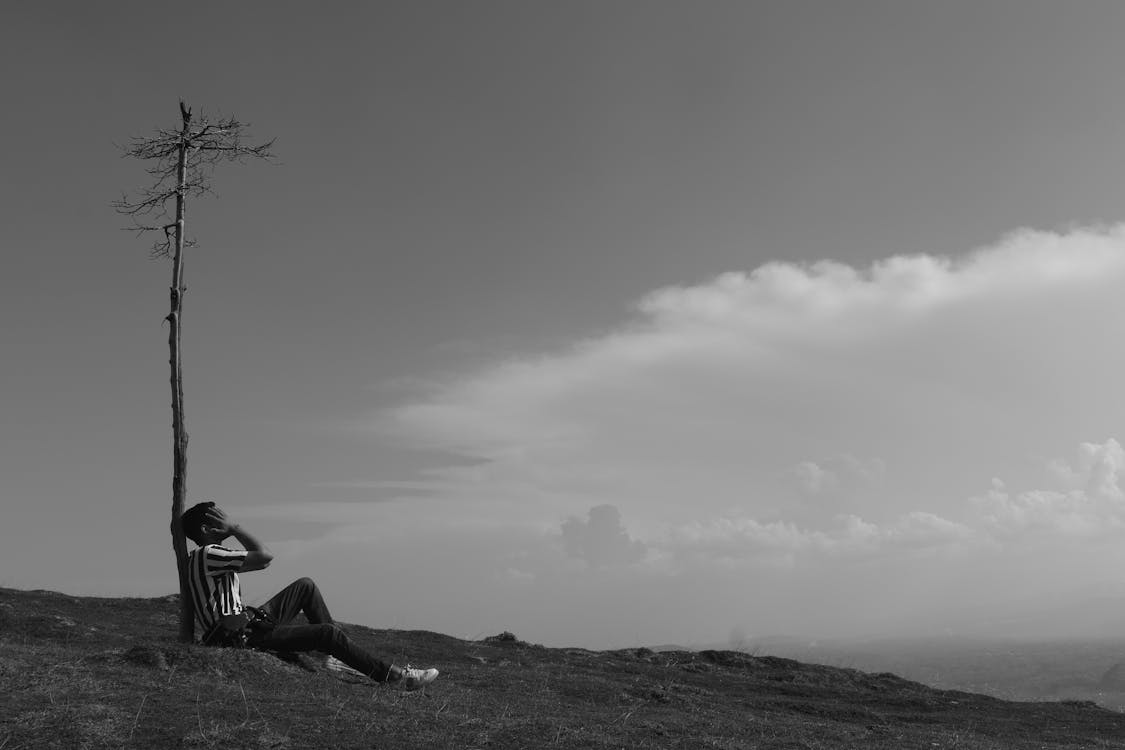 Mental Stability and Psilocybin: Why Timing Matters More Than Intensity
