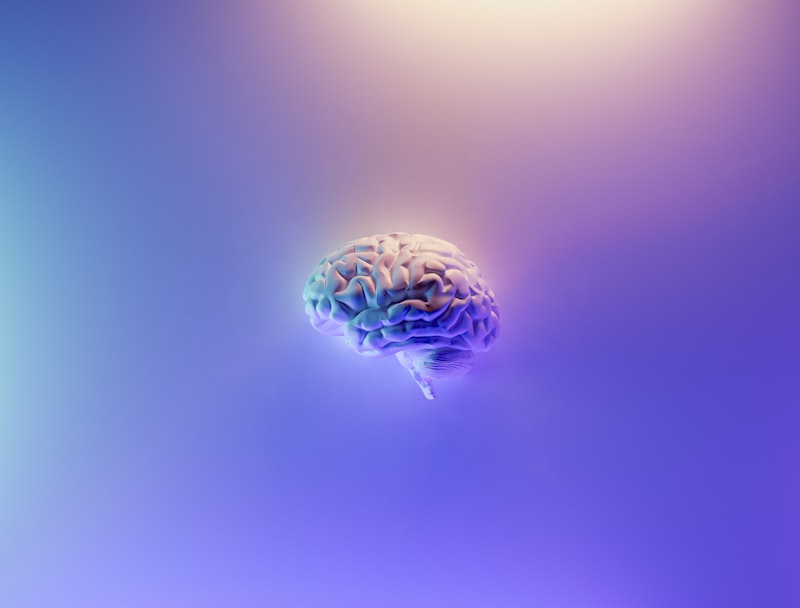 What Does Psilocybin Do to Your Brain?