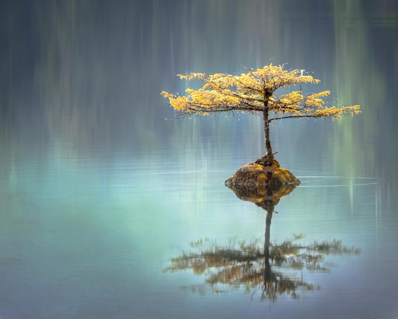 What Respect for the Mushroom Really Means